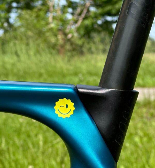 Cake Ride Sticker-Set Bike Rahmen